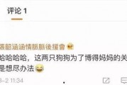 吃瓜娱乐常用bgm